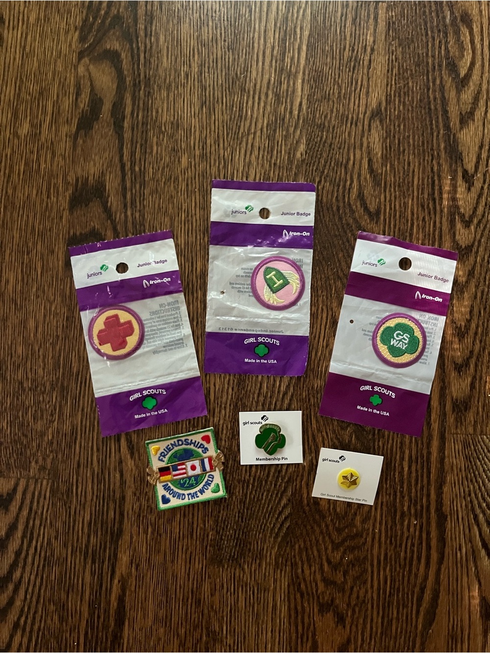 NWT Girl Scouts Junior Badge & Pin Set Bundle
